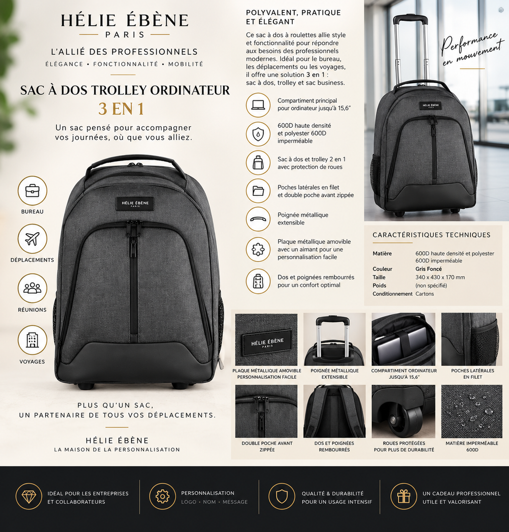 
Sac trolley professionnel imperméable avec compartiment ordinateur 15,6 pouces et roulettes